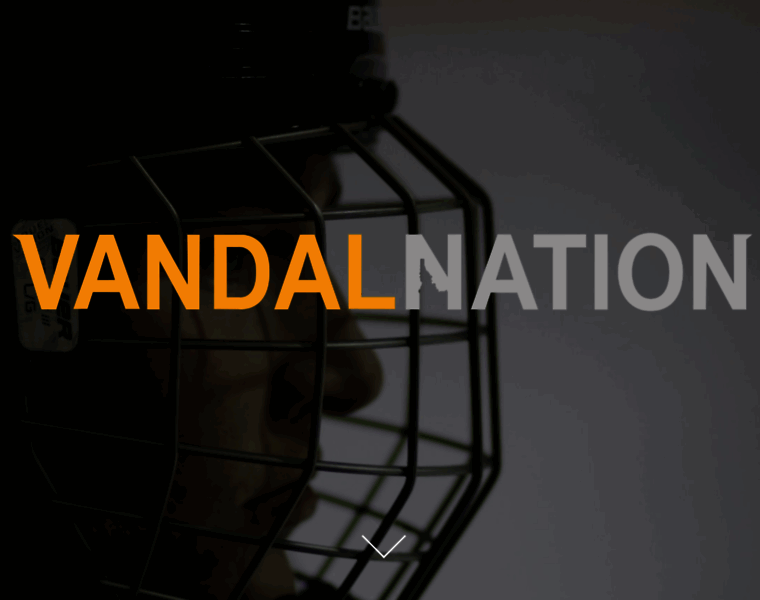 Thevandalnation.com thumbnail