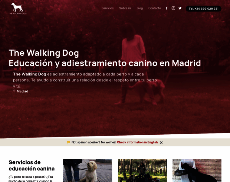 Thewalkingdog.es thumbnail