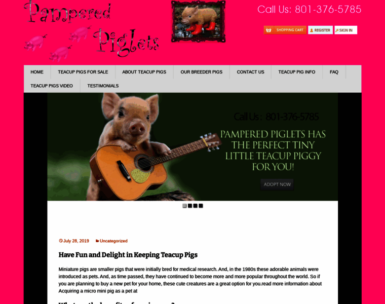 Thewhitepath.com thumbnail Thewhitepath.com thumbnail