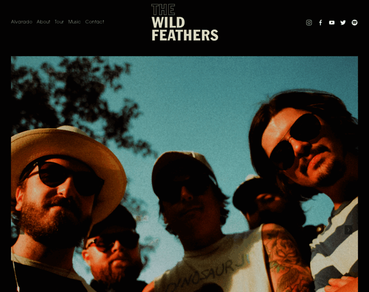 Thewildfeathers.com thumbnail