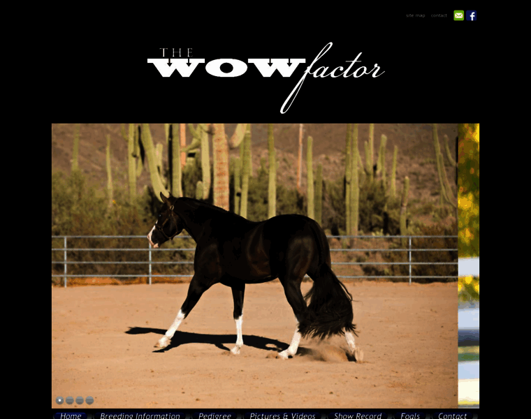Thewowfactor.horse thumbnail
