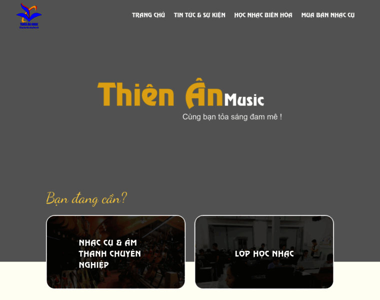 Thienanmusic.vn thumbnail