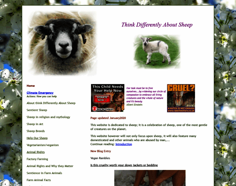 Think-differently-about-sheep.com thumbnail