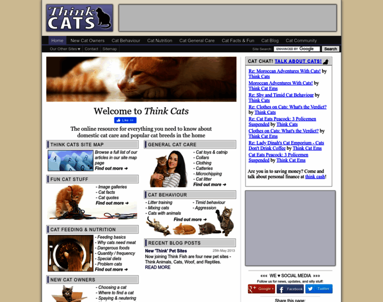Thinkcats.com thumbnail