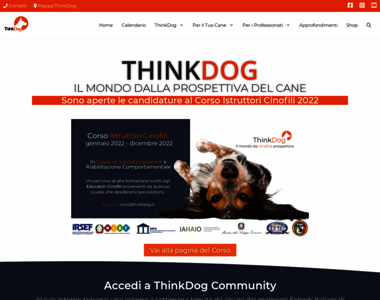 Thinkdog.it thumbnail
