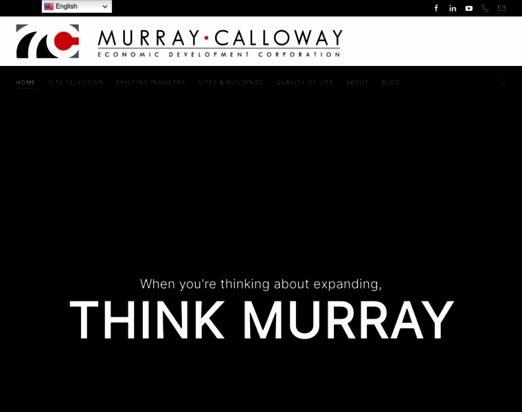 Thinkmurray.com thumbnail