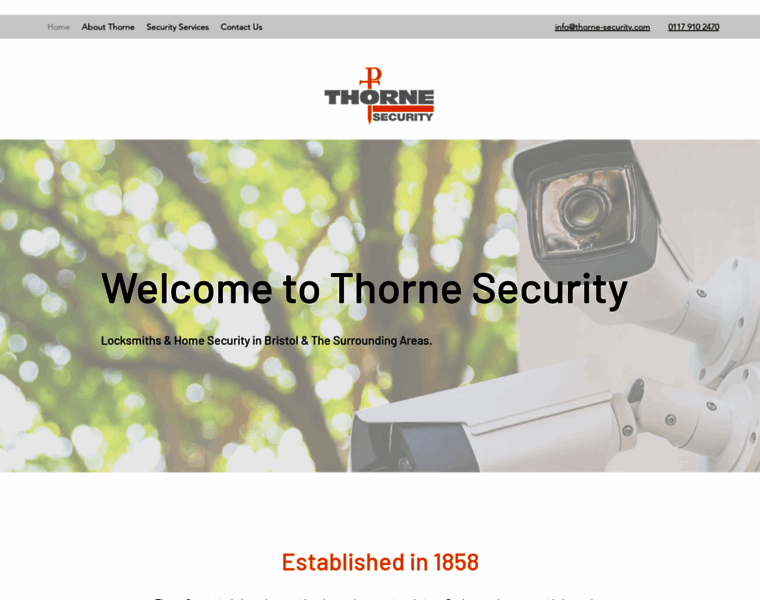 Thorne-security.com thumbnail