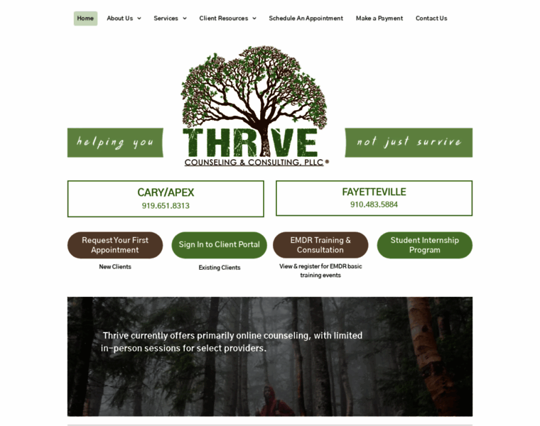Thrive-pllc.com thumbnail