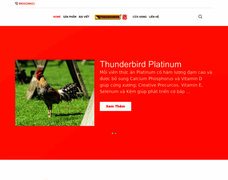 Thunderbirdvn.com thumbnail