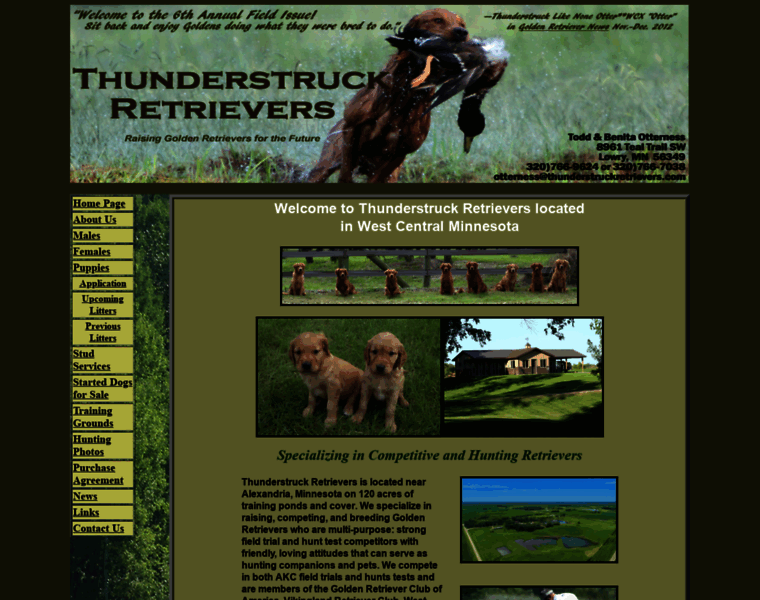 Thunderstruckretrievers.com thumbnail