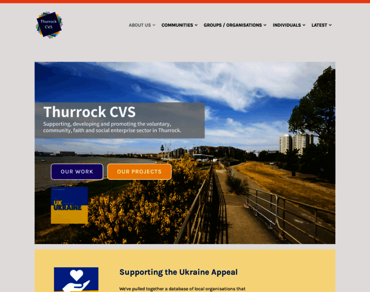 Thurrockcvs.org thumbnail