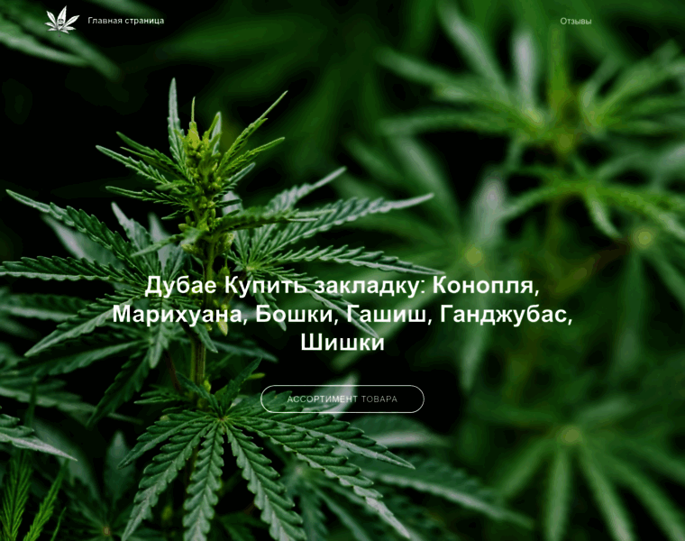 Tiandemarket.ru thumbnail