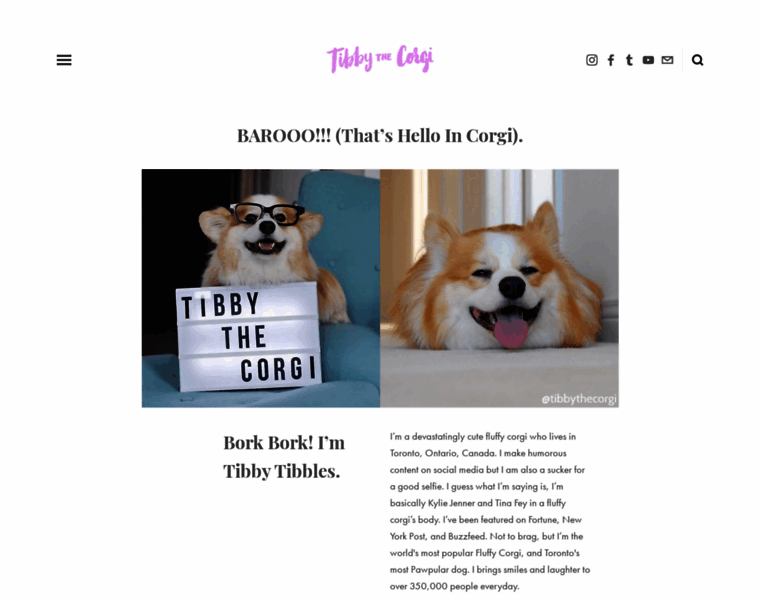 Tibbythecorgi.com thumbnail