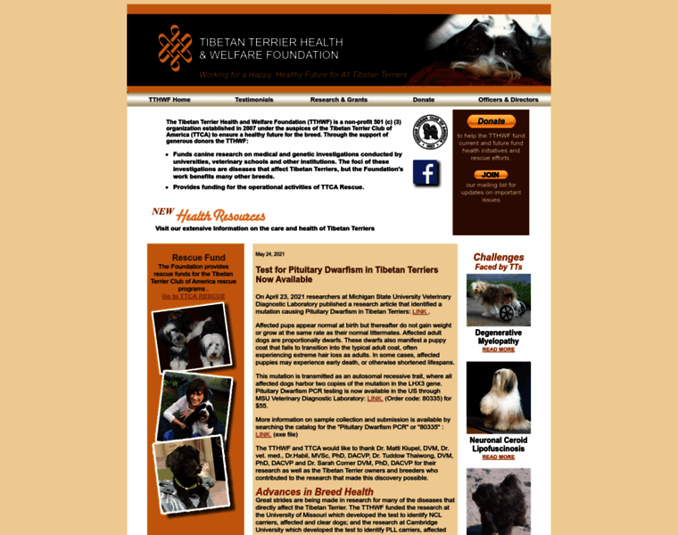 Tibetanterriersfoundation.org thumbnail