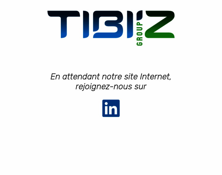 Tibiz-group.fr thumbnail