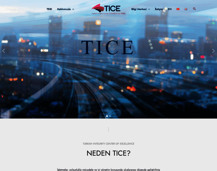 Tice.org.tr thumbnail