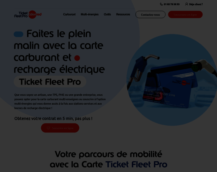 Ticketfleetpro.fr thumbnail