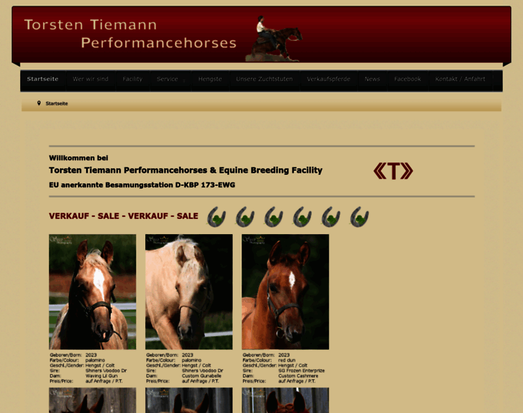 Tiemann-performancehorses.de thumbnail