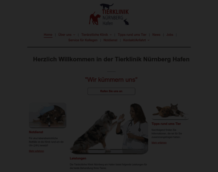 Tieraerztlicheklinik-nuernberg.de thumbnail