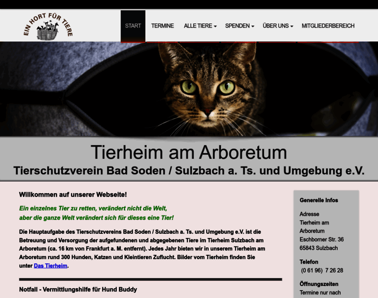 Tierheim-bad-soden-sulzbach.de thumbnail