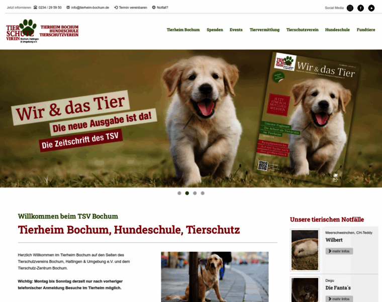 Tierheim-bochum.de thumbnail
