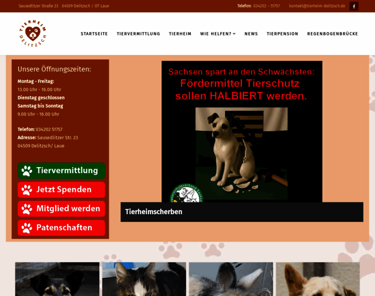 Tierheim-delitzsch.de thumbnail