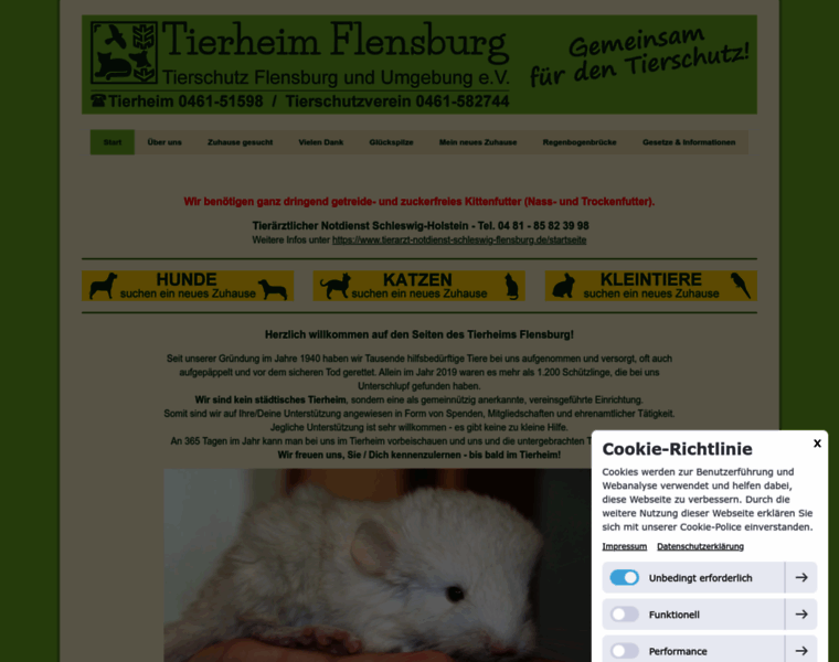 Tierheim-flensburg.de thumbnail