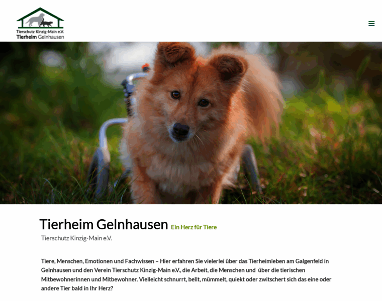 Tierheim-gelnhausen.org thumbnail