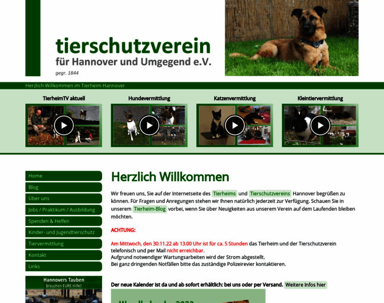 Tierheim-hannover.de thumbnail