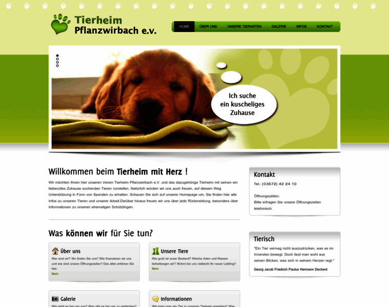Tierheim-pflanzwirbach.de thumbnail