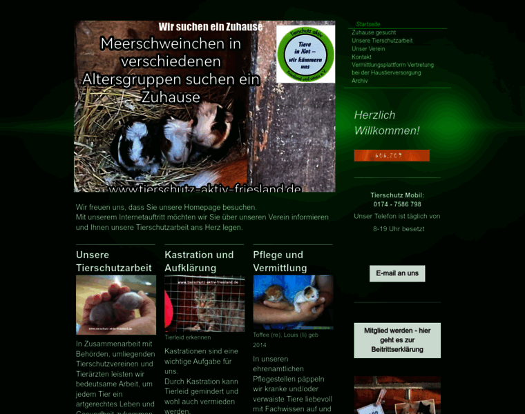 Tierschutz-aktiv-friesland.de thumbnail