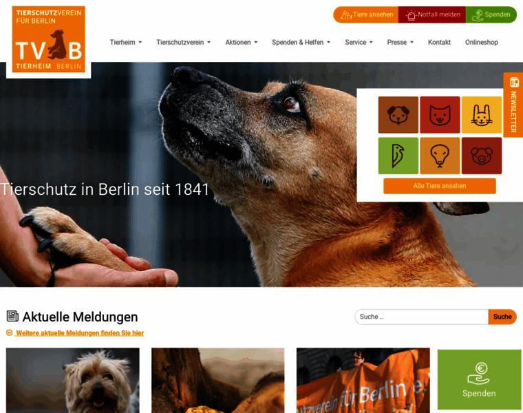 Tierschutz-berlin.de thumbnail Tierschutz-berlin.de thumbnail