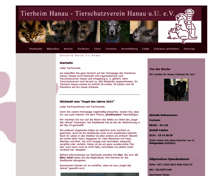 Tierschutz-hanau.de thumbnail