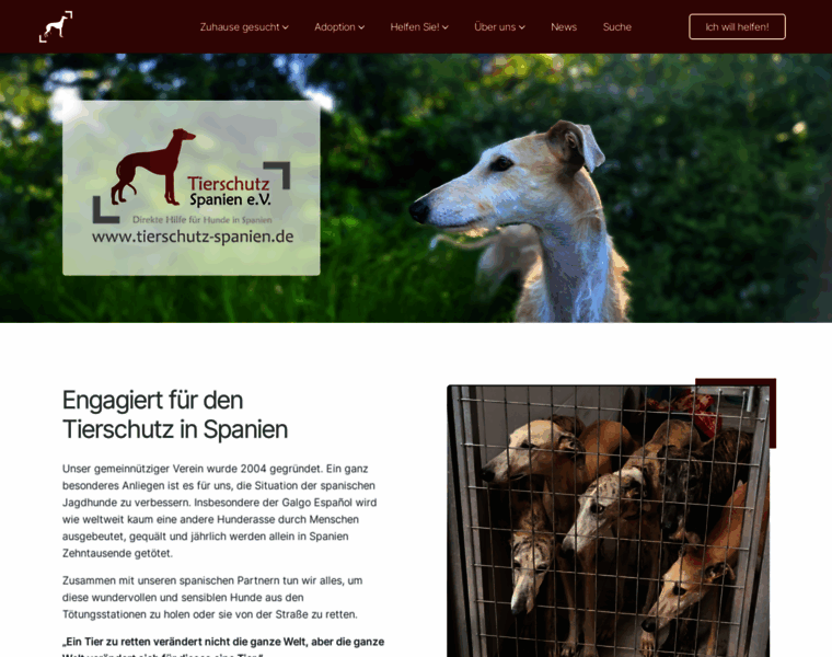 Tierschutz-spanien.de thumbnail
