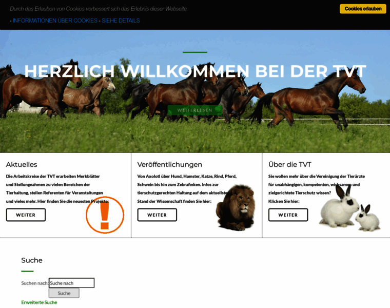 Tierschutz-tvt.de thumbnail