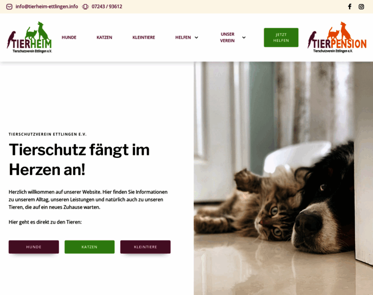 Tierschutzverein-ettlingen.info thumbnail
