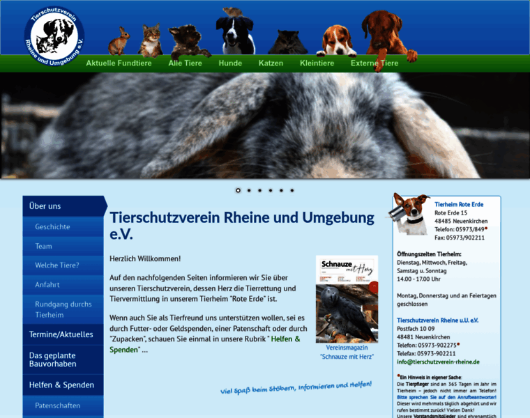 Tierschutzverein-rheine.de thumbnail