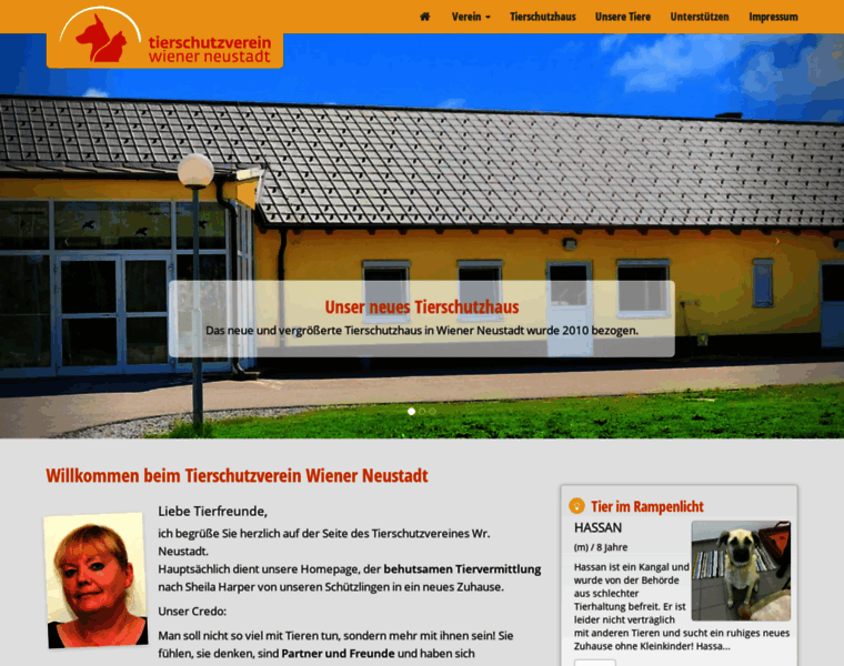Tierschutzverein.or.at thumbnail