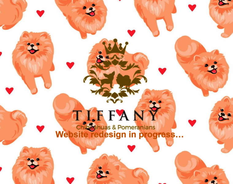Tiffany-chihuahuas.com thumbnail