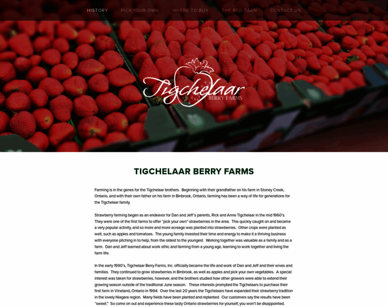 Tigchelaarberries.com thumbnail