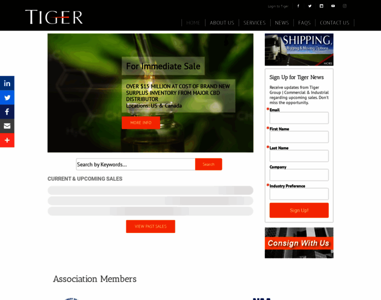 Tiger.auctionserver.net thumbnail