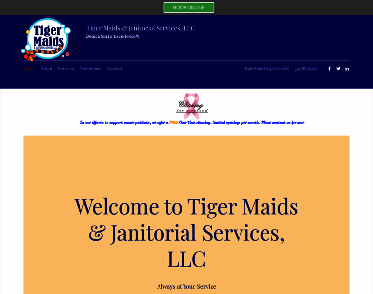Tigermaids.com thumbnail