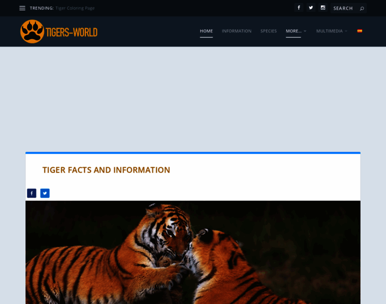 Tigers-world.com thumbnail