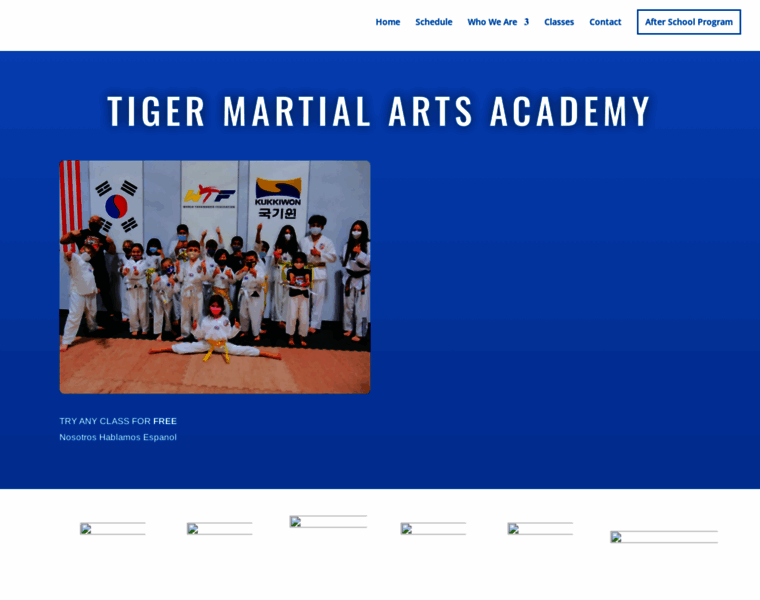 Tigersmartialarts.com thumbnail