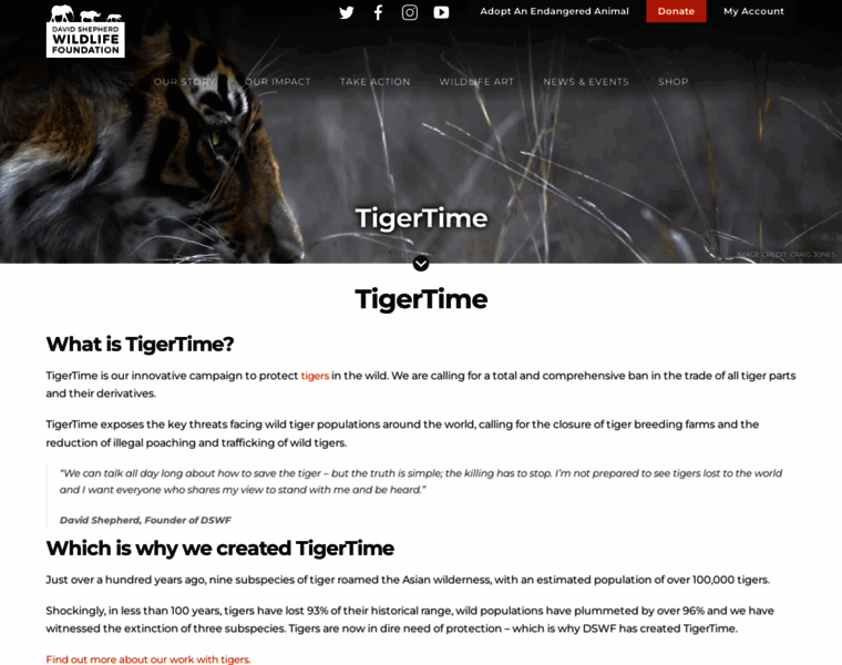 Tigertime.info thumbnail