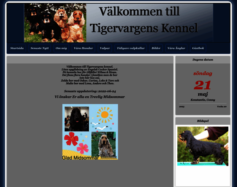 Tigervargens.se thumbnail