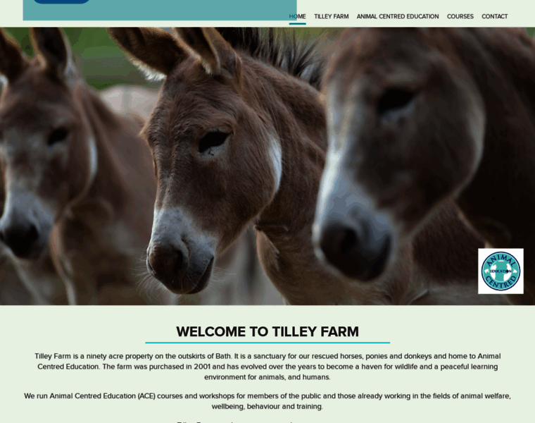 Tilleyfarm.co.uk thumbnail