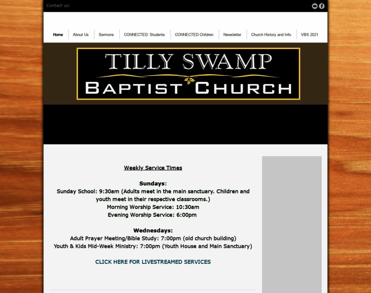 Tillyswamp.org thumbnail