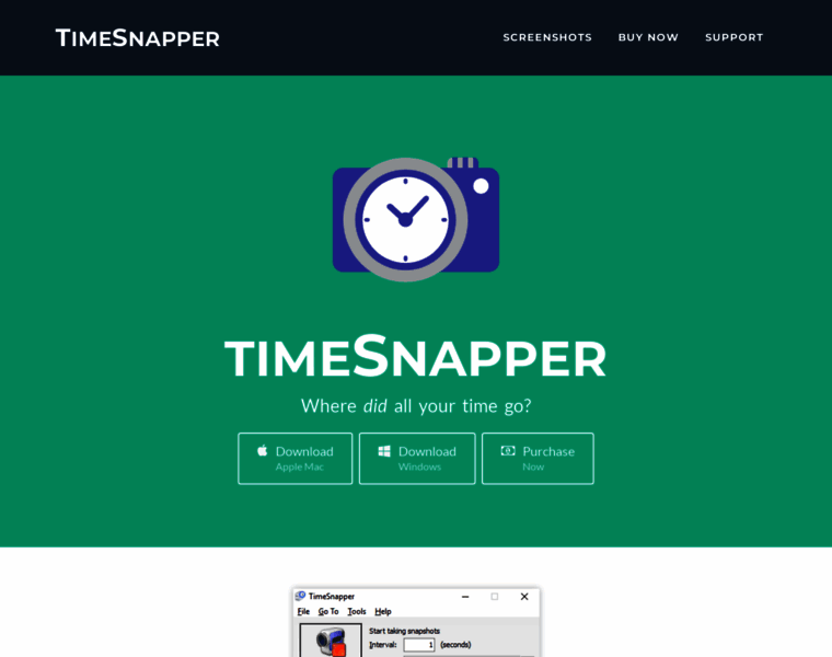 Timesnapper.com thumbnail
