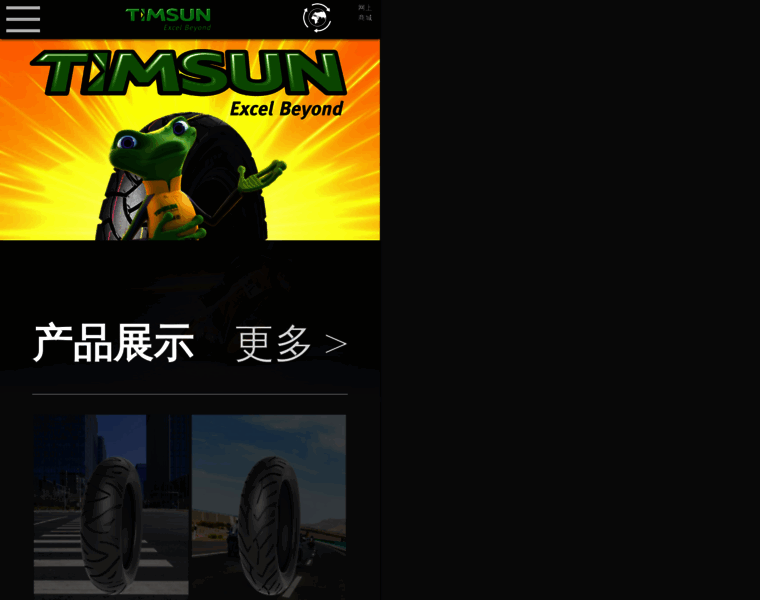 Timsun.com.cn thumbnail